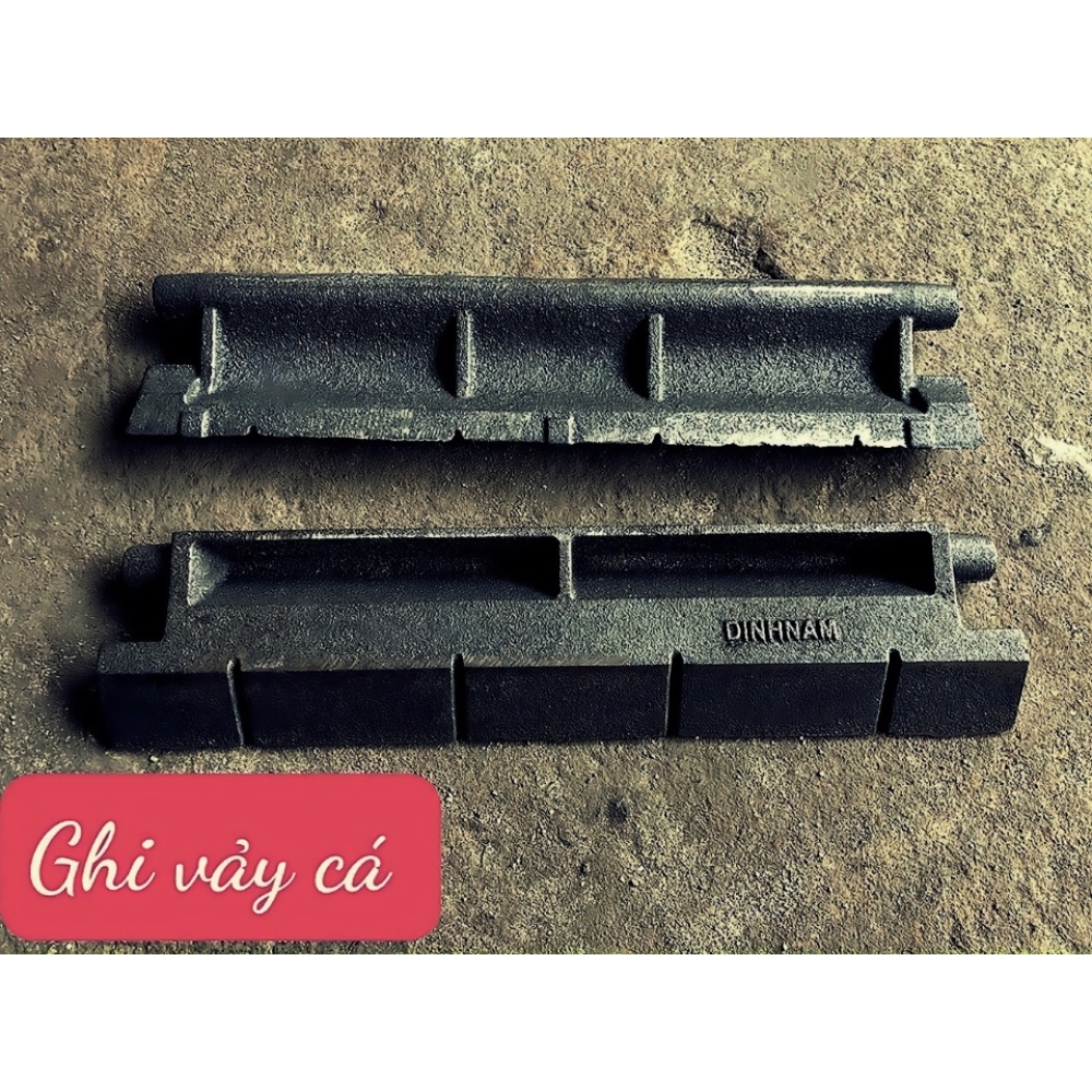 Ghi vây cá